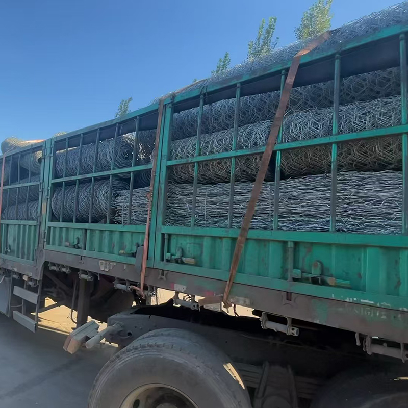 Gabion Mesh Detail